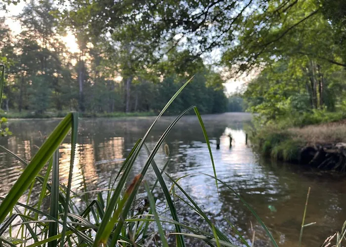 Lägenhet Kahnstuebchen Mit Neuem Innenhof Garten *